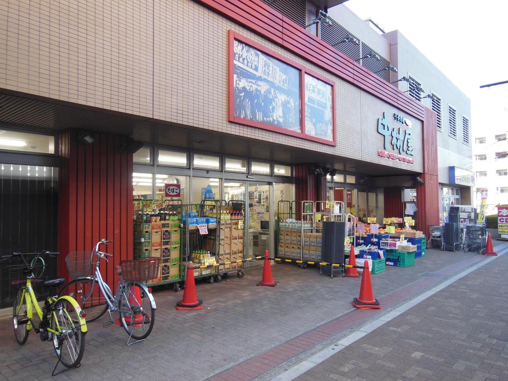 Other. Super Nakamuraya