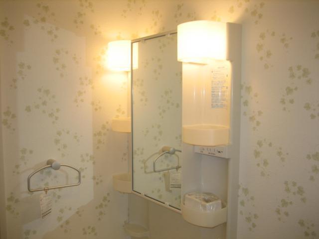 Washroom. Shampoo dresser