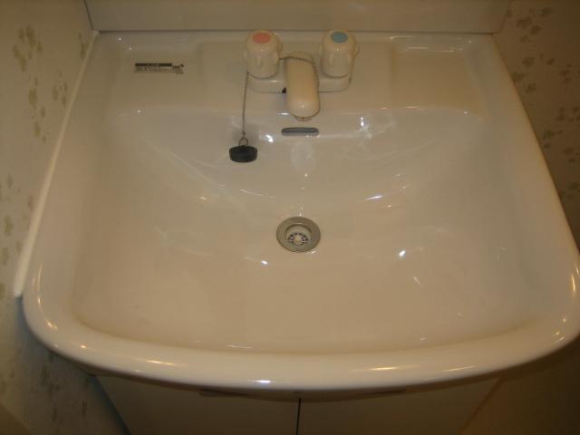 Washroom. Shampoo dresser