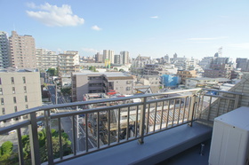 View. View from the balcony