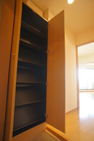 Entrance. Neat dispose of shoes BOX is the front door