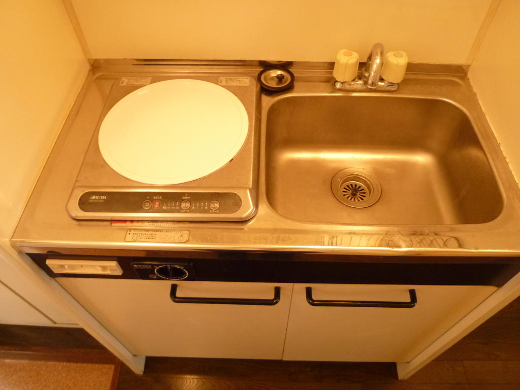 Kitchen. IH cooking stove is.