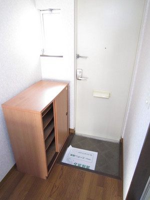 Entrance. Shoe box equipped