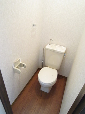 Toilet. Western-style toilet