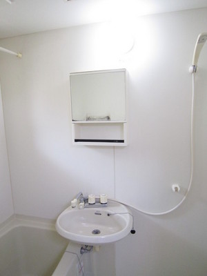 Washroom. Washbasin with mirror