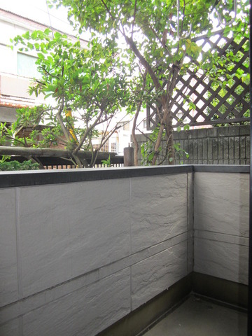 View. Shooting from the balcony