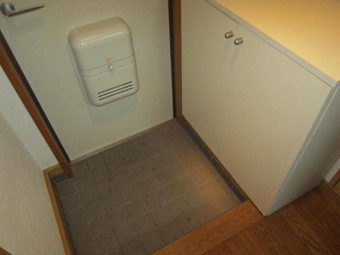 Entrance. Shoe shelf