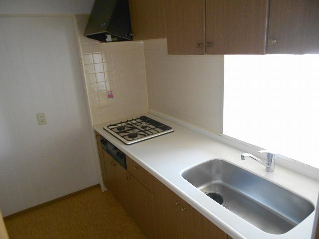 Kitchen. Indoor (10 May 2013) Shooting