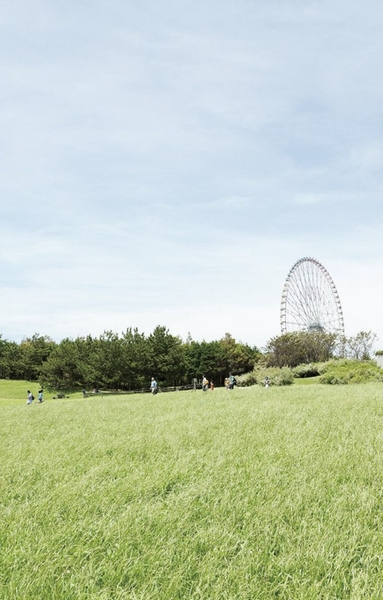 Kasai Seaside Park (about 6km / Bicycle about 24 minutes ・ Car about 9 minutes)