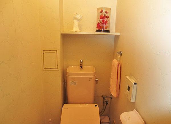 Toilet. Toilet part With Washlet