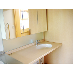 Washroom. Also available in wheelchair.