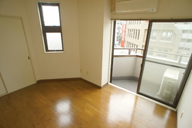 Living and room. It is the room of two-sided lighting