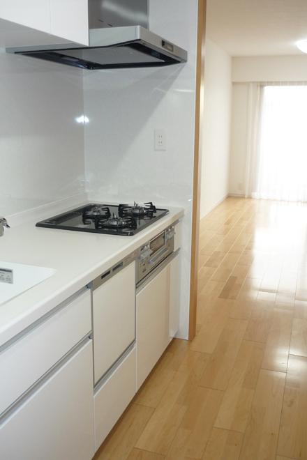 Kitchen. With a convenient dishwasher in the kitchen