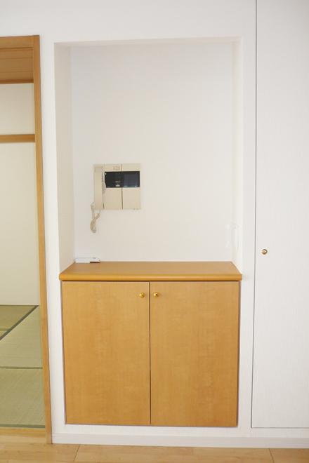 Other. There is also a cabinet