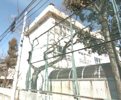 Primary school. Minamikoiwa up to elementary school (elementary school) 239m