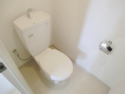 Toilet. Western-style toilet.