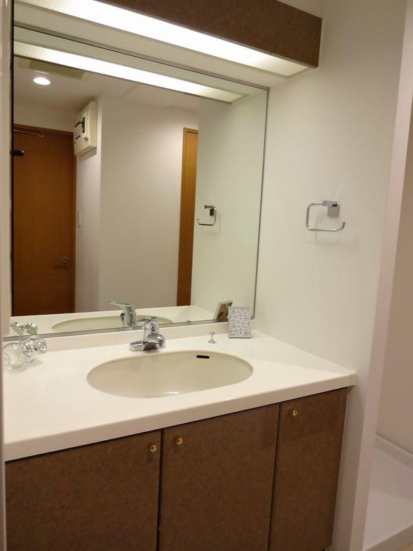 Wash basin, toilet. Bathroom vanity