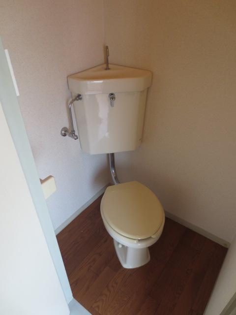 Toilet. It is a Western-style toilet