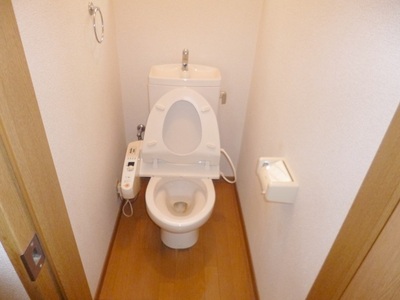 Toilet. It is spacious toilet