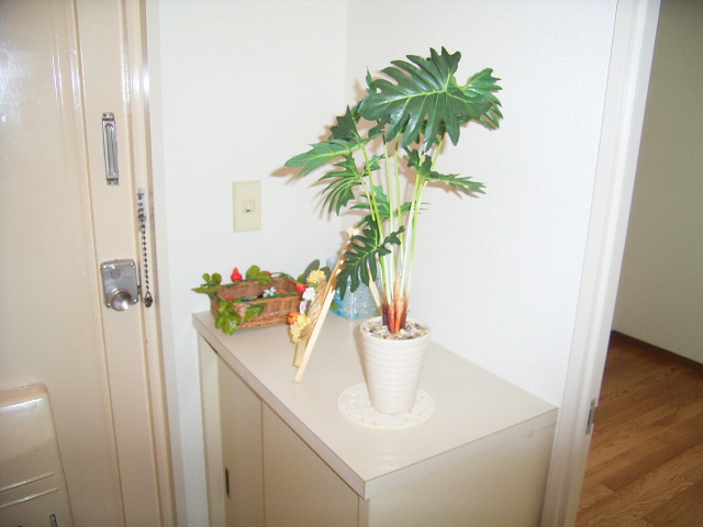 Entrance. There is a shoe box, Organize the shoes! ! Entrance is refreshing