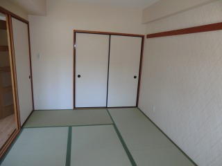 Living and room. Living