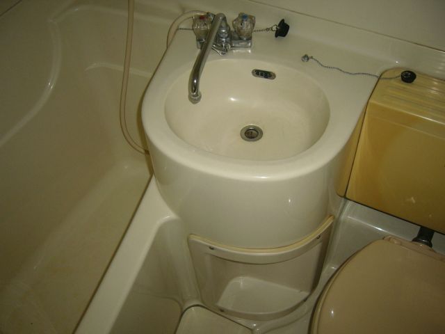 Bath. There is also a wash basin, Care Ease units bus.