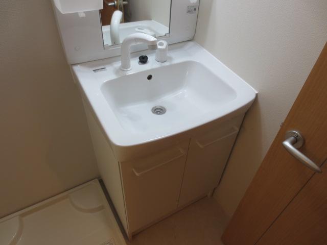 Washroom. Shampoo dresser