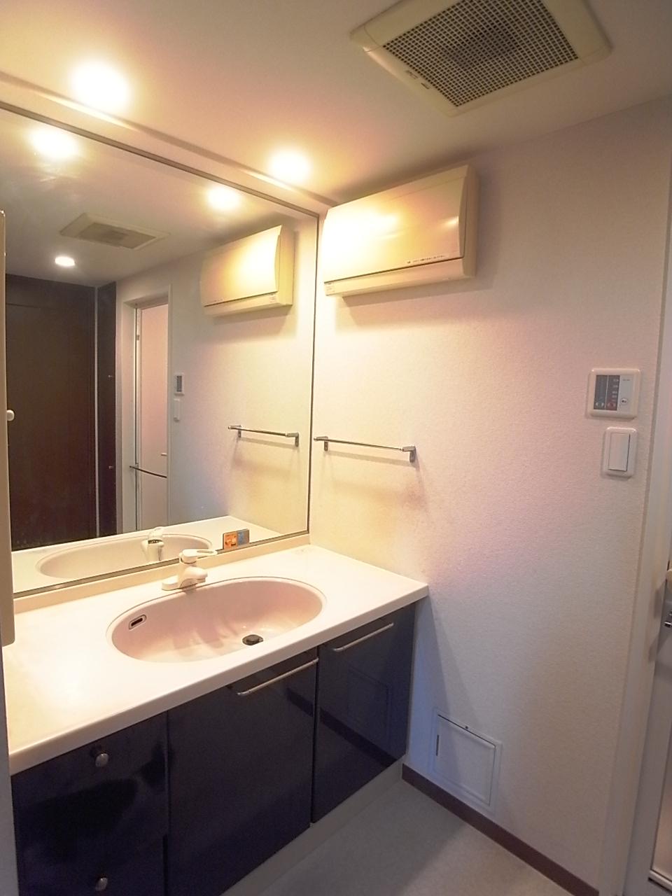 Wash basin, toilet. Wide vanity