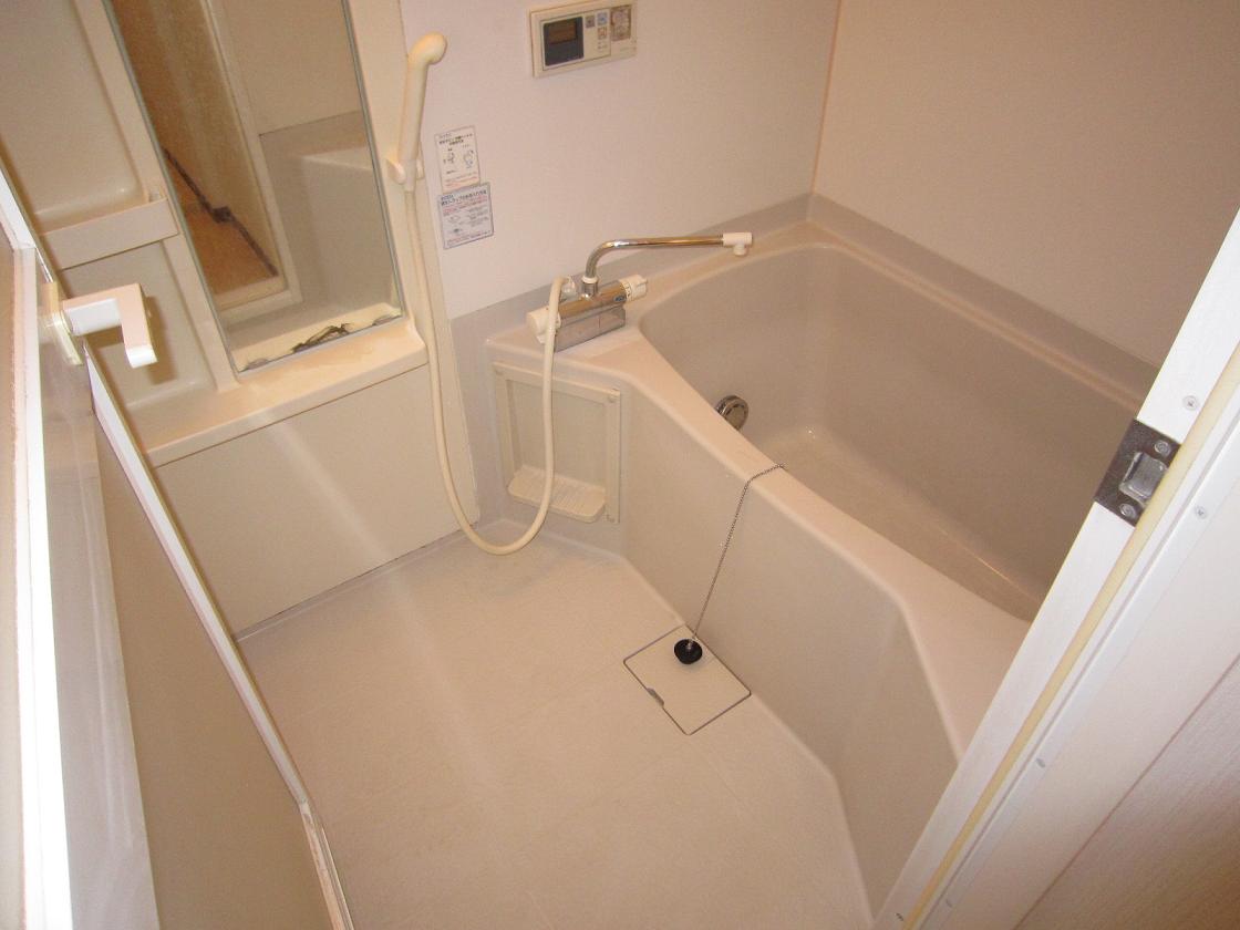 Bath. Indoor reference photograph