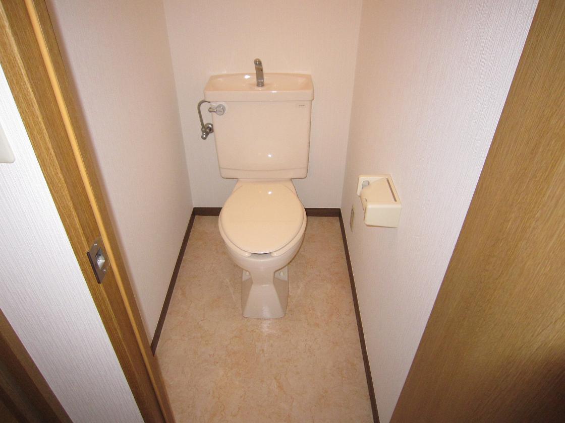 Toilet. Indoor reference photograph