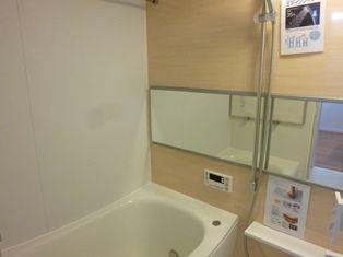 Bathroom. ~ New interior renovation completed ~