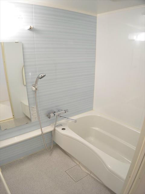 Bathroom. Bathroom shiny