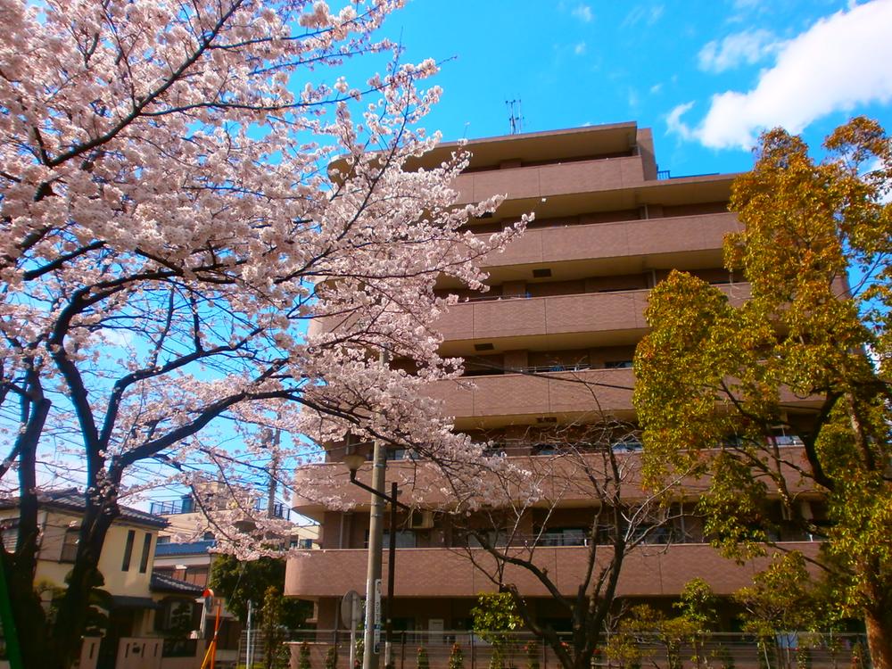 Local appearance photo. Local (05 May 2013) Shooting