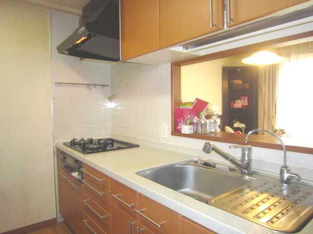 Kitchen. Indoor (12 May 2013) Shooting