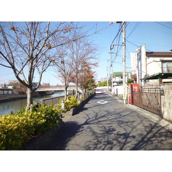 Local photos, including front road