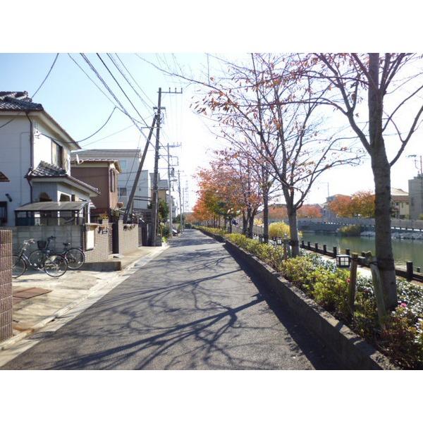 Local photos, including front road