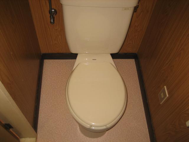 Toilet. Toilet (same type)