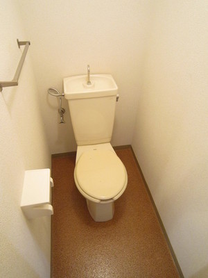 Toilet. Bidet can be installed