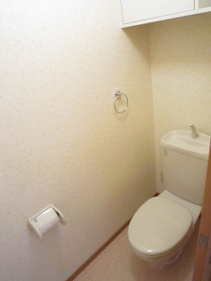Toilet. Western-style toilet