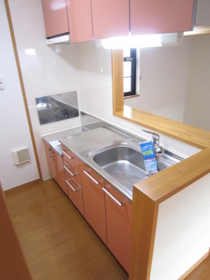 Kitchen. Two-burner gas stove installed Friendly counter kitchen