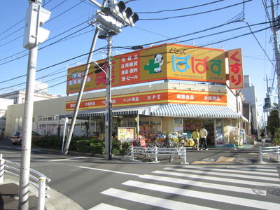 Dorakkusutoa. Drag Papas (drugstore) 700m to