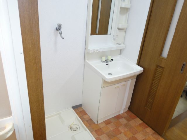 Washroom. This basin