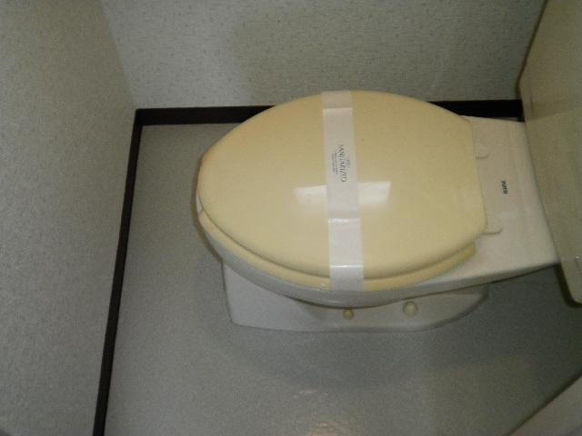 Toilet. Toilet