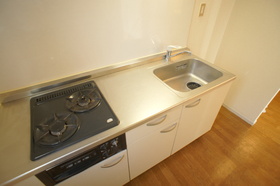 Kitchen. System kitchen (two-burner gas stove with grill)