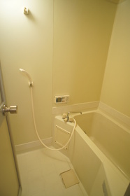 Bath. Bathing with a reheating function