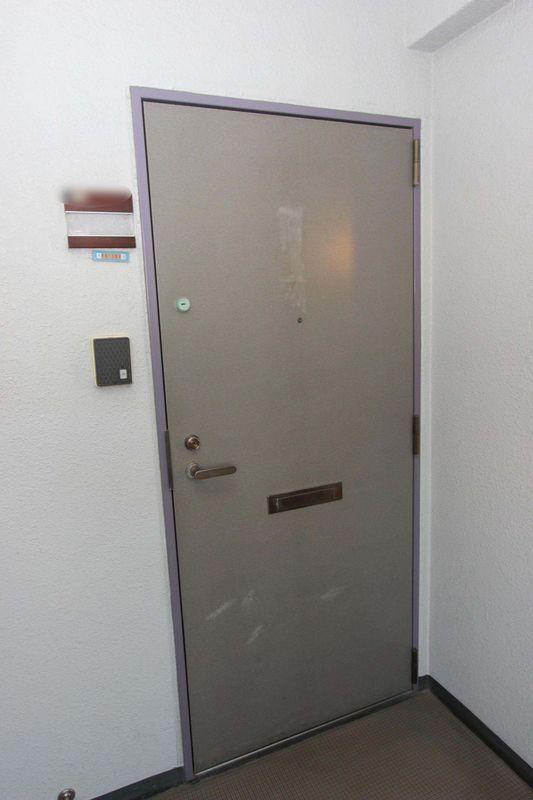 Entrance. Entrance door