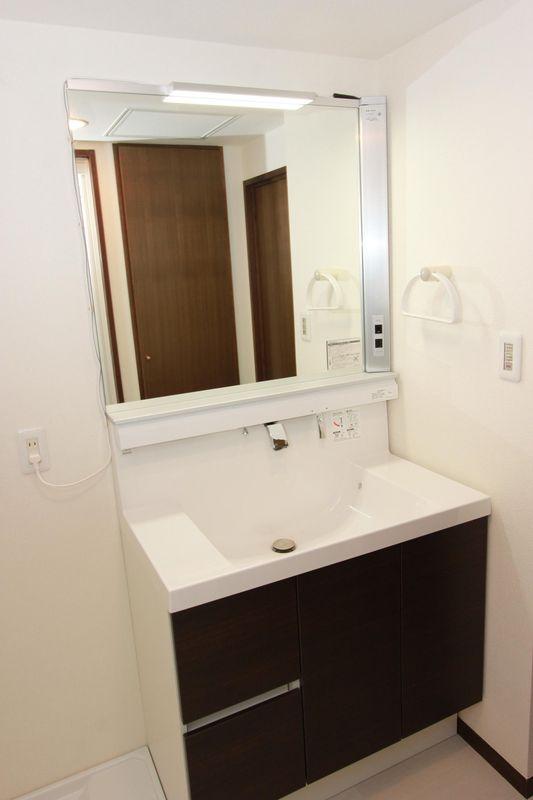 Wash basin, toilet. Vanity with shampoo for the shower faucet