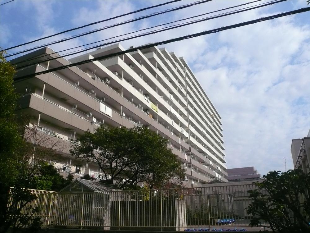 Local appearance photo. Local (11 May 2013) Shooting