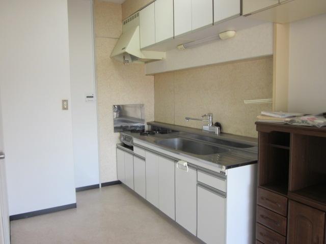 Kitchen. Indoor (11 May 2013) Shooting