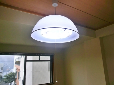 Other. It comes with lighting in each room.